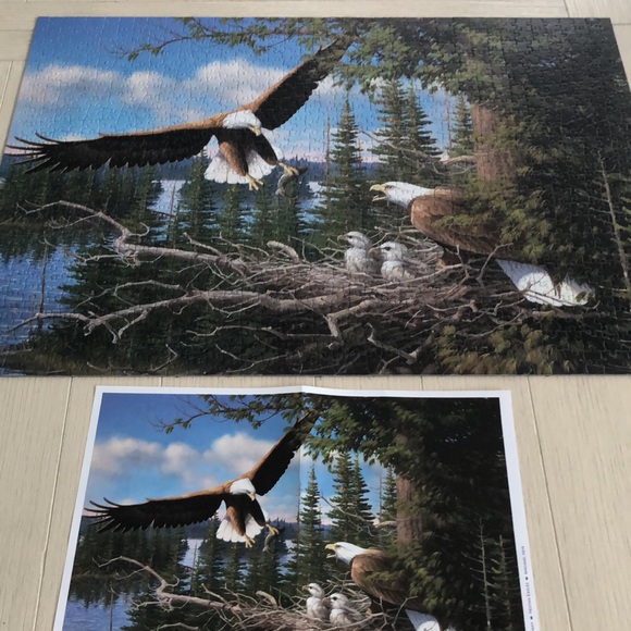 Cobble Hill 1000 Piece Eagle Puzzle - Picture 4 of 6